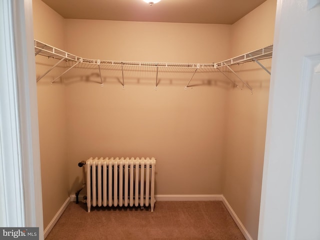 walk in closet with radiator and carpet