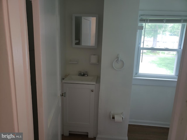 bathroom featuring vanity and hardwood / wood-style floors