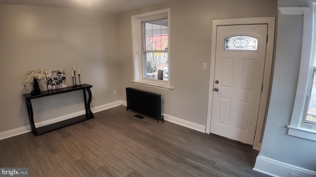 entrance foyer featuring a healthy amount of sunlight, dark hardwood / wood-style flooring, and radiator