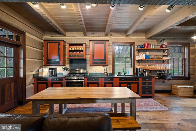 kitchen with stainless steel gas stove, wood walls, and a healthy amount of sunlight