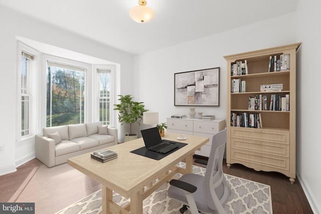 office space featuring hardwood / wood-style floors