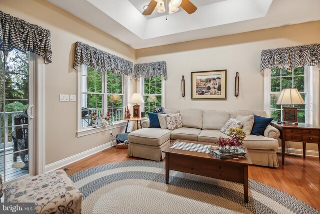 living room with ceiling fan, a raised ceiling, and hardwood / wood-style floors