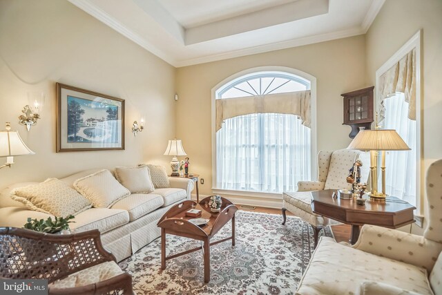 living room with a raised ceiling, hardwood / wood-style flooring, and crown molding