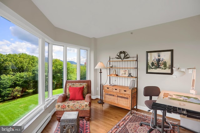 office featuring hardwood / wood-style flooring, baseboard heating, and a healthy amount of sunlight