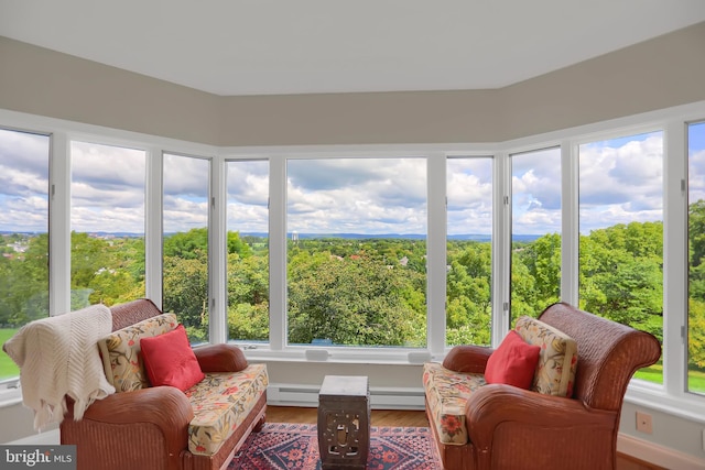 sunroom featuring wood finished floors and a baseboard radiator