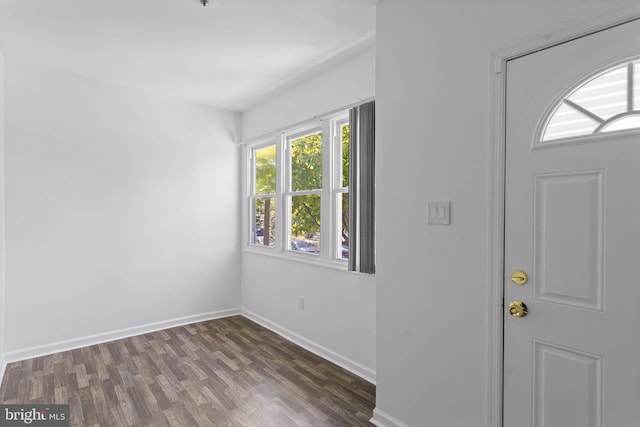 foyer featuring dark wood-type flooring