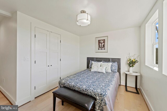 bedroom with multiple windows, light hardwood / wood-style flooring, and a closet