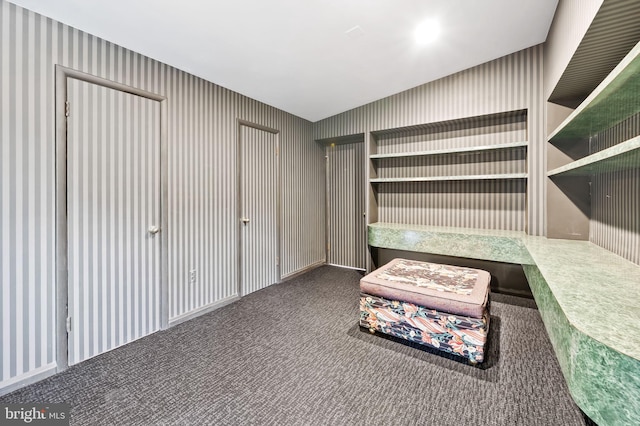 walk in closet featuring dark colored carpet