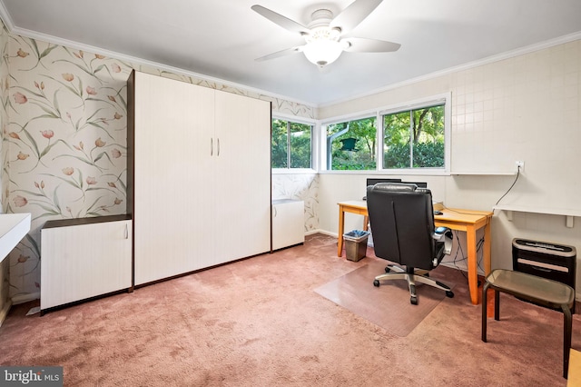 office with crown molding, carpet, and ceiling fan