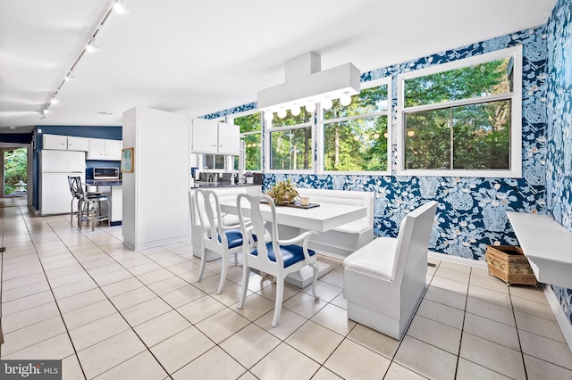 tiled dining space featuring a healthy amount of sunlight and rail lighting