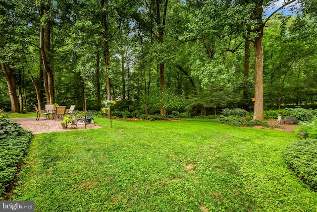 view of yard with a patio