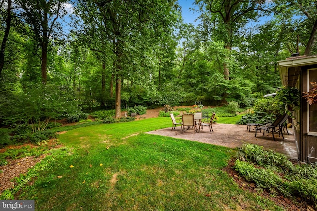 view of yard featuring a patio