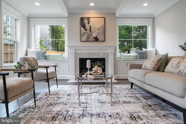 living room featuring ornamental molding and a premium fireplace