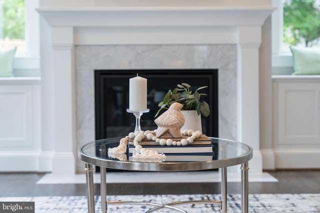 details with a premium fireplace