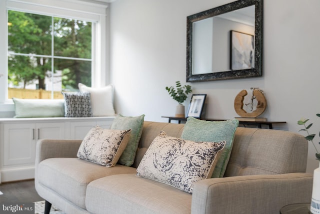 living room with hardwood / wood-style flooring