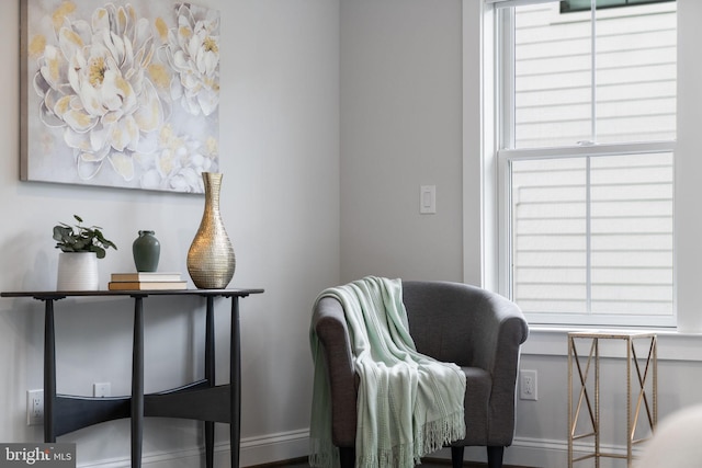 sitting room featuring plenty of natural light