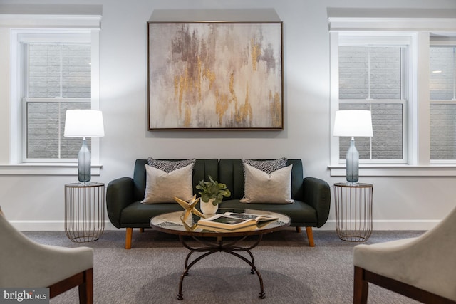 sitting room featuring carpet floors