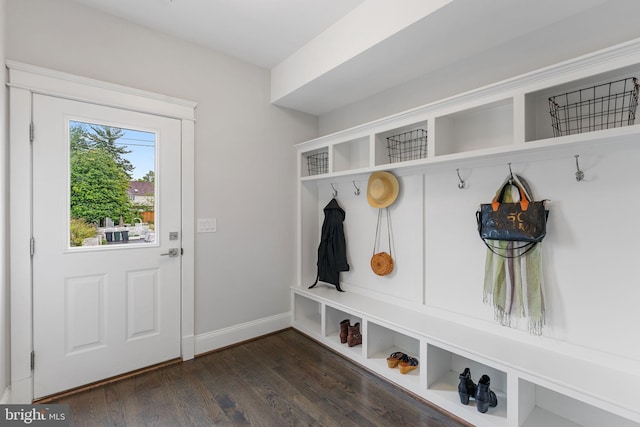 mudroom featuring dark hardwood / wood-style flooring