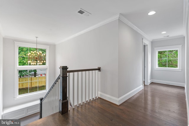 corridor with a notable chandelier, plenty of natural light, and dark wood-type flooring