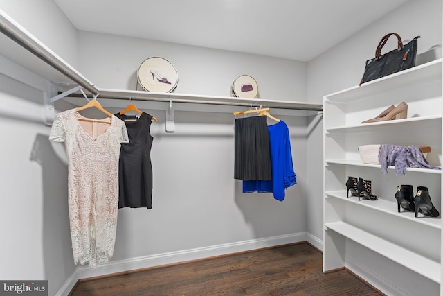 spacious closet with dark wood-type flooring