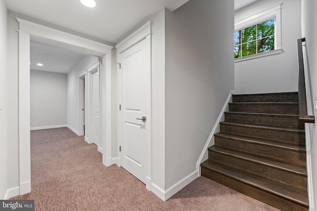 staircase with carpet flooring