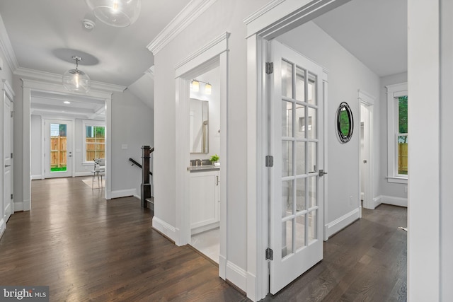 hallway with french doors, crown molding, and dark hardwood / wood-style flooring