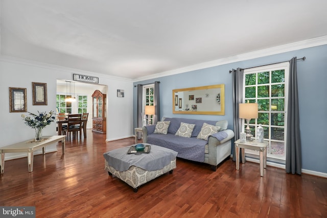 living room with ornamental molding, dark wood-type flooring, and plenty of natural light