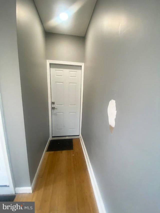 doorway featuring wood-type flooring