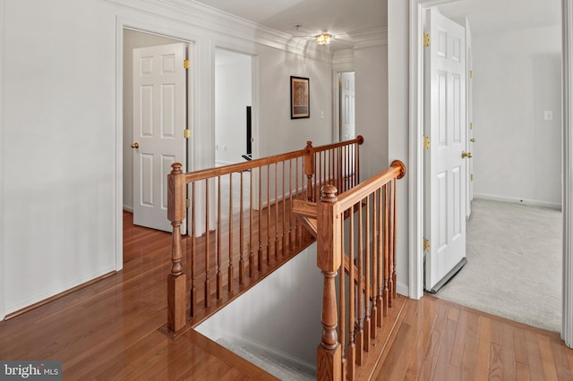 staircase with crown molding and hardwood / wood-style flooring