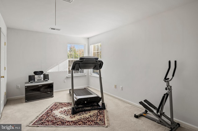 exercise area with carpet floors