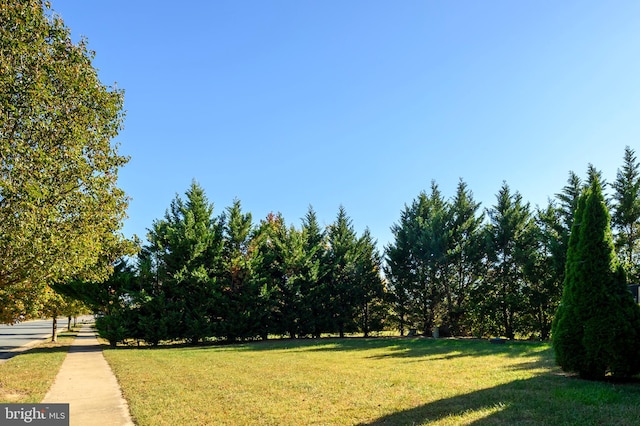 view of yard