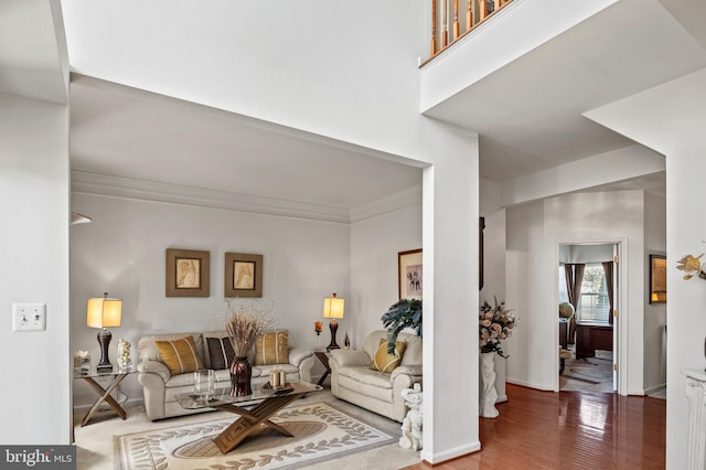 living room featuring crown molding and wood-type flooring