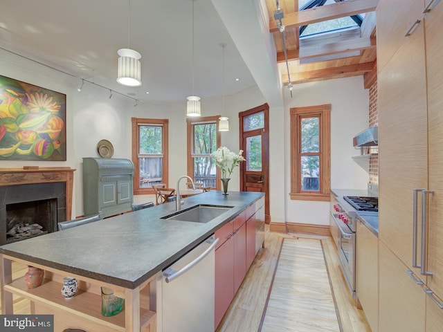 kitchen with stainless steel appliances, exhaust hood, a healthy amount of sunlight, and sink