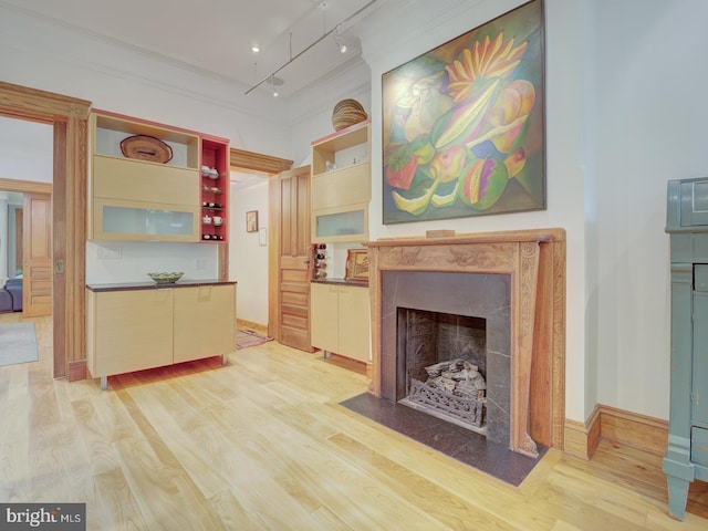 living room with a high end fireplace, light hardwood / wood-style floors, and rail lighting