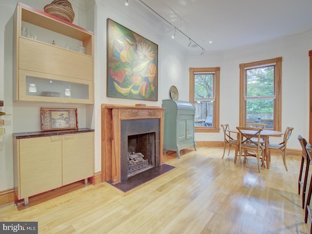 living room featuring a fireplace, light wood-type flooring, and track lighting