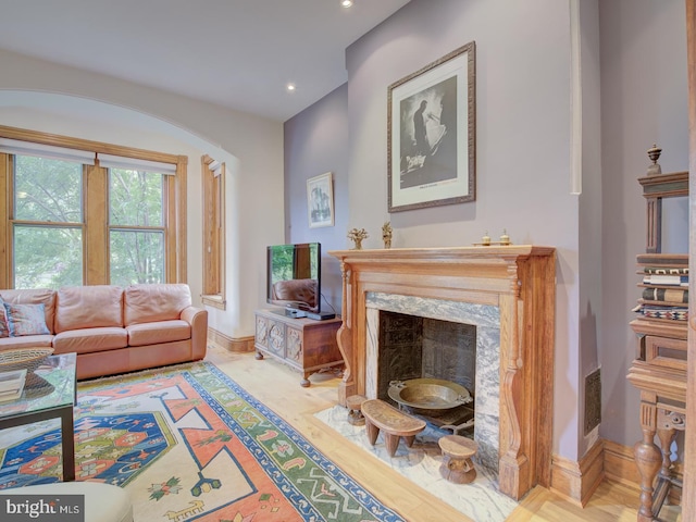 living room featuring a premium fireplace