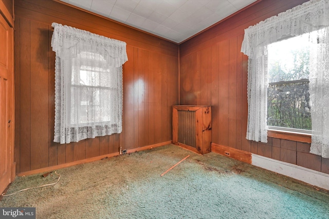 spare room featuring wood walls and carpet flooring