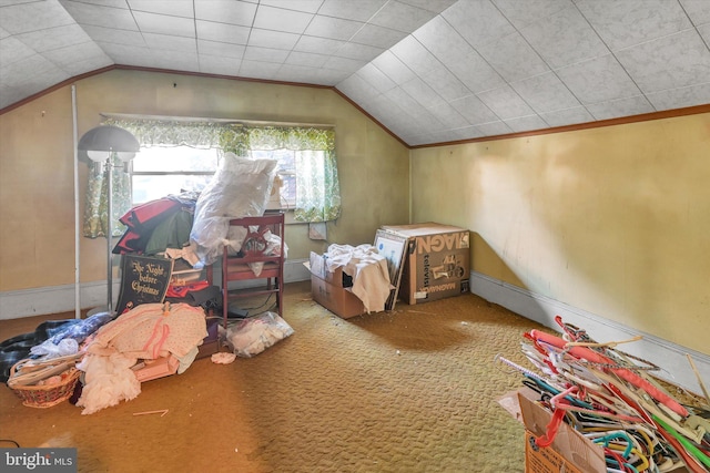 bedroom featuring carpet flooring and vaulted ceiling