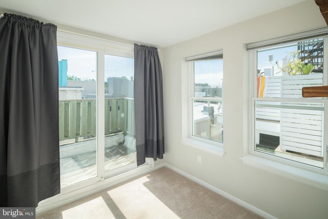 carpeted empty room featuring a wealth of natural light