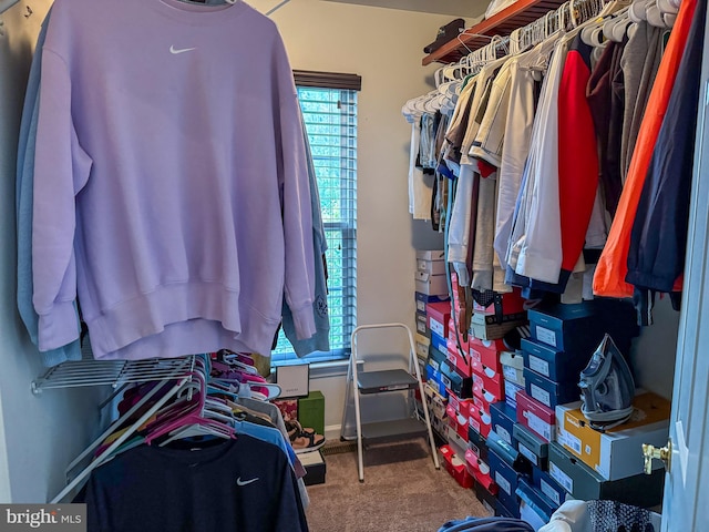 spacious closet featuring carpet