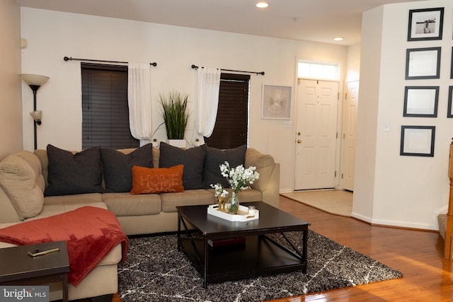 living room featuring hardwood / wood-style flooring