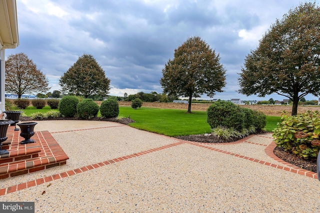 exterior space with a patio and a lawn