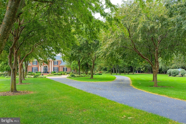 surrounding community featuring a lawn