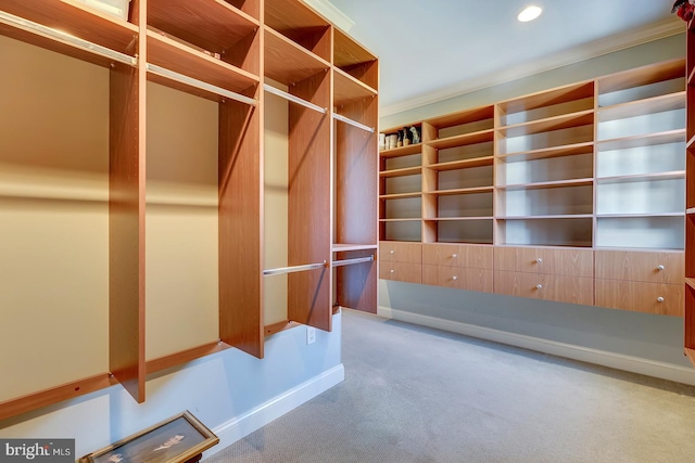 spacious closet featuring carpet flooring