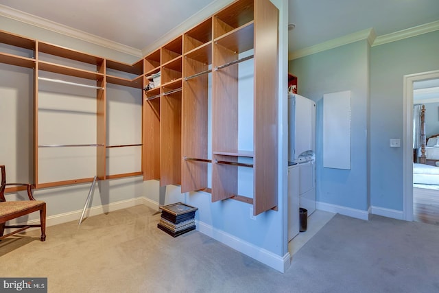 spacious closet featuring carpet floors