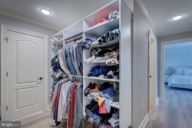 walk in closet with light hardwood / wood-style flooring