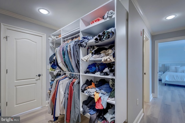 20459 Troyer Ln, Lincoln, DE 19960 - walk in closet with wood finished floors