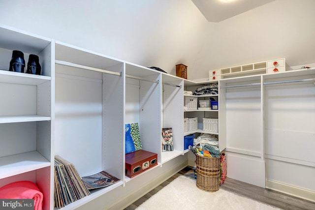 walk in closet with wood-type flooring