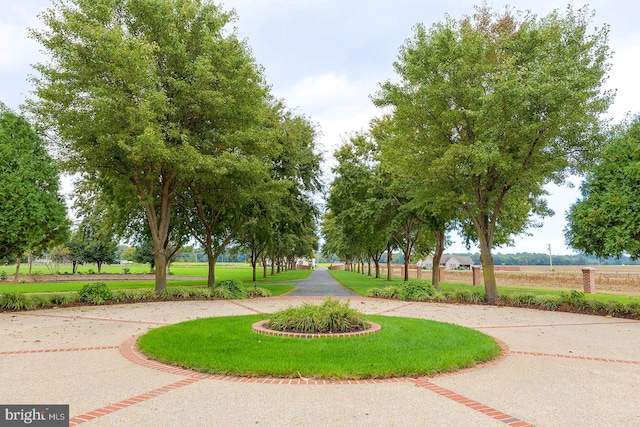 view of home's community featuring a lawn