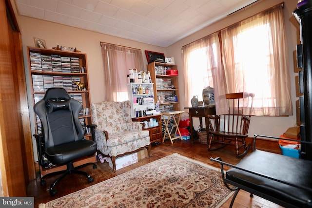 office space featuring hardwood / wood-style floors